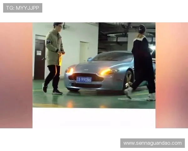 威廉姆斯兄弟回应豪车交易诈骗指控称与事实不符拟将依法抗辩